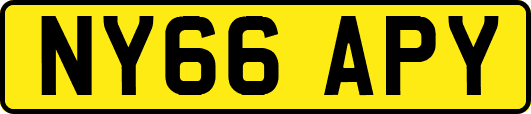 NY66APY
