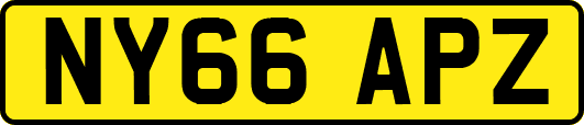 NY66APZ