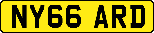 NY66ARD
