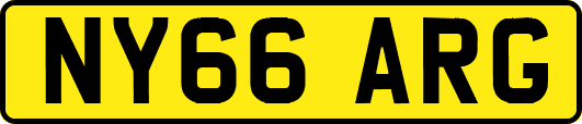 NY66ARG