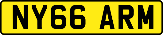 NY66ARM