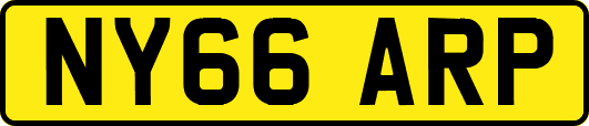 NY66ARP