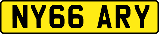 NY66ARY