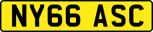 NY66ASC