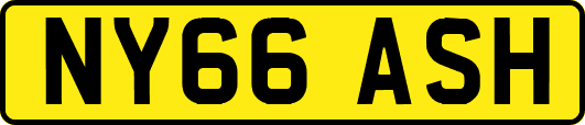 NY66ASH