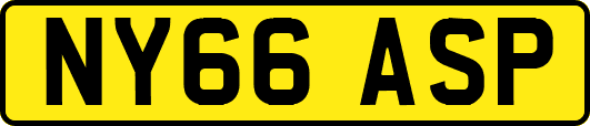 NY66ASP
