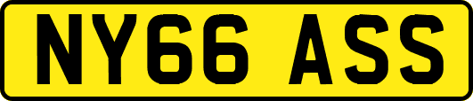 NY66ASS
