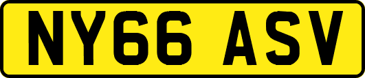 NY66ASV