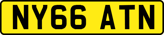 NY66ATN