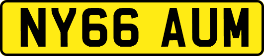 NY66AUM