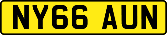 NY66AUN