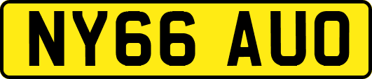 NY66AUO