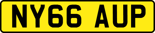 NY66AUP