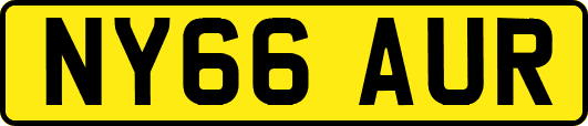 NY66AUR