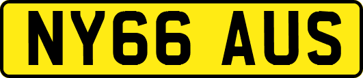 NY66AUS