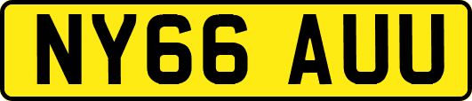 NY66AUU