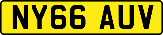 NY66AUV