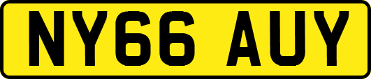 NY66AUY