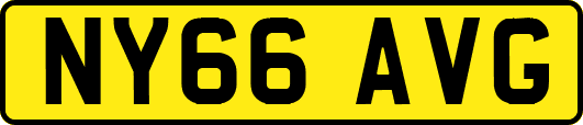 NY66AVG