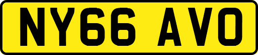 NY66AVO