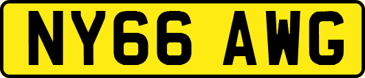 NY66AWG