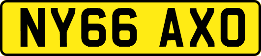 NY66AXO