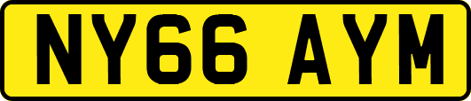 NY66AYM
