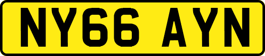 NY66AYN