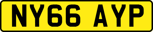 NY66AYP