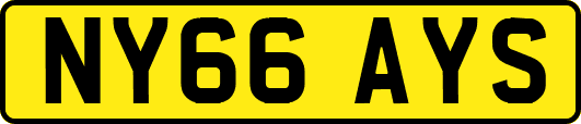 NY66AYS
