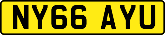 NY66AYU