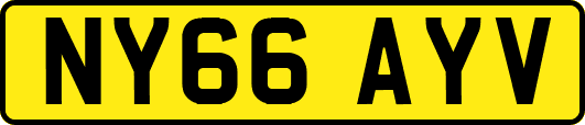 NY66AYV