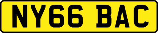 NY66BAC