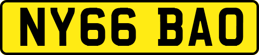 NY66BAO