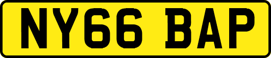 NY66BAP