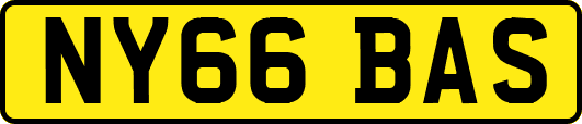 NY66BAS