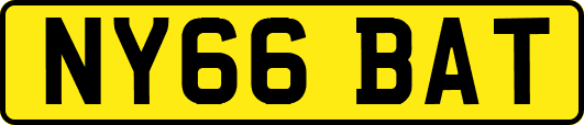 NY66BAT