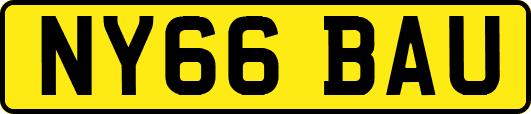 NY66BAU