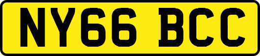 NY66BCC