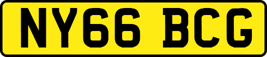NY66BCG