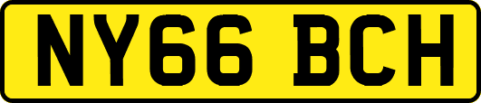 NY66BCH
