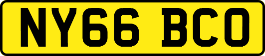 NY66BCO