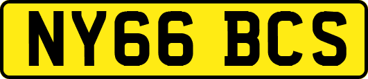 NY66BCS