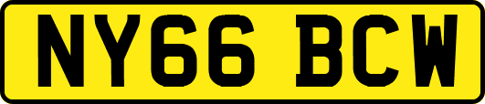 NY66BCW