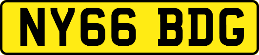 NY66BDG