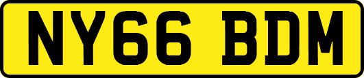 NY66BDM