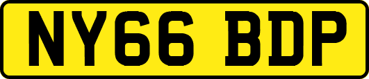 NY66BDP