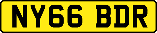 NY66BDR