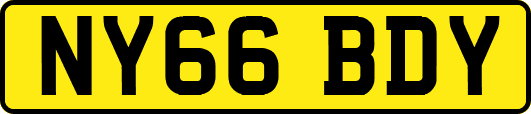 NY66BDY