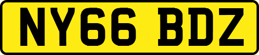 NY66BDZ